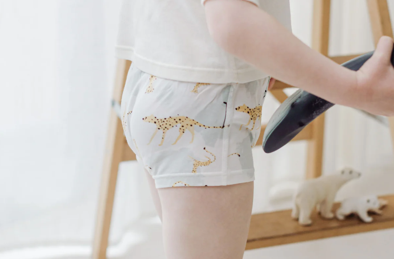 Girls Boy Short Underwear (Bamboo, 2 Pack) - Prairie Fun