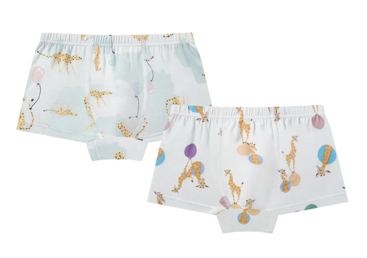 Boys Boxer Briefs Underwear (Bamboo, 2 Pack) - Prairie Fun