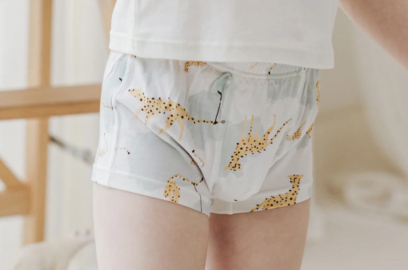 Boys Boxer Briefs Underwear (Bamboo, 2 Pack) - Prairie Fun