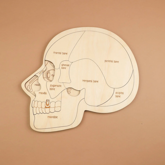 Use Your Head Wooden Puzzle