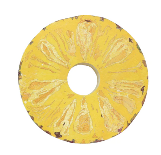 Fruits and Veggie Memo Blocks Fruit-Pineapple