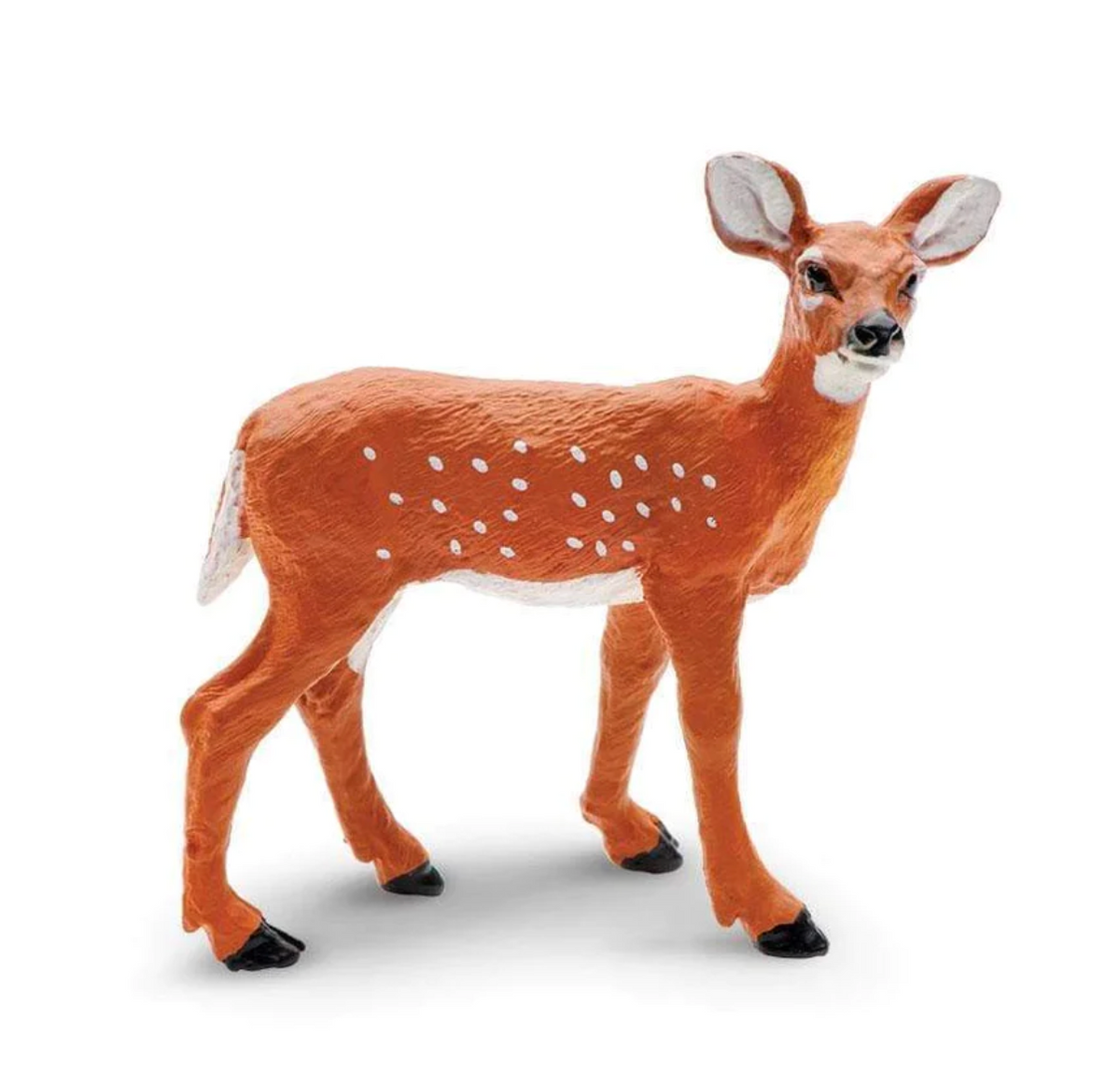 Whitetail Fawn - 180229 – Littlebigpenguin