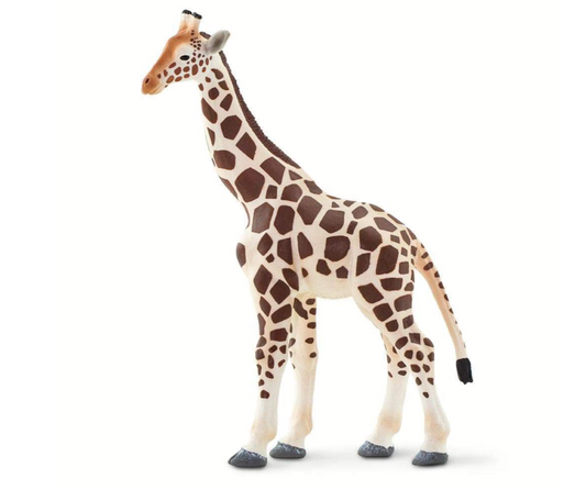 Giraffe - 100421