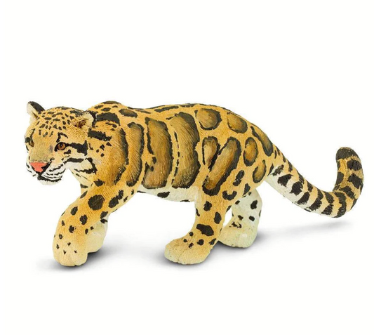 Clouded Leopard-100239