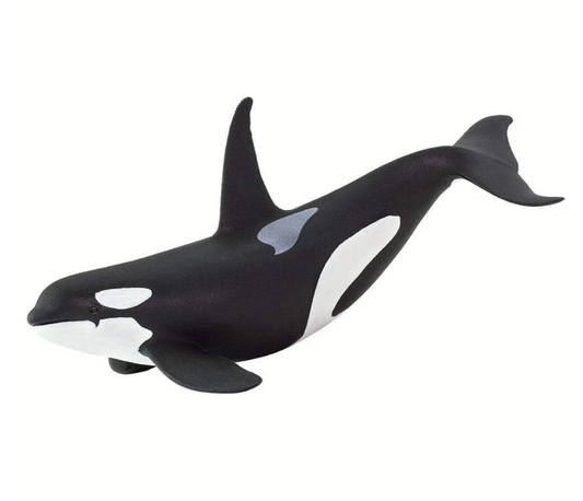 Orca - 100232