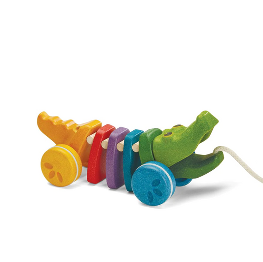Rainbow Alligator