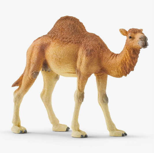 Dromedary Animal Toy