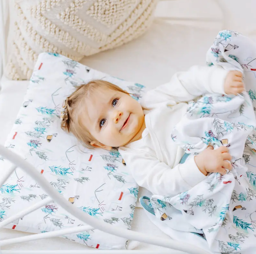Bamboo Jersey Toddler Pillow with Pillowcase Happy Trails