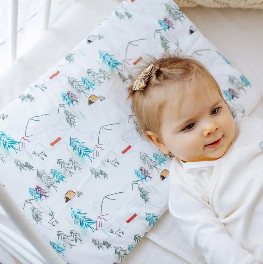 Bamboo Jersey Toddler Pillow with Pillowcase Happy Trails