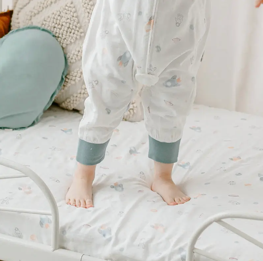 Bamboo Crib Sheet Up and Away!