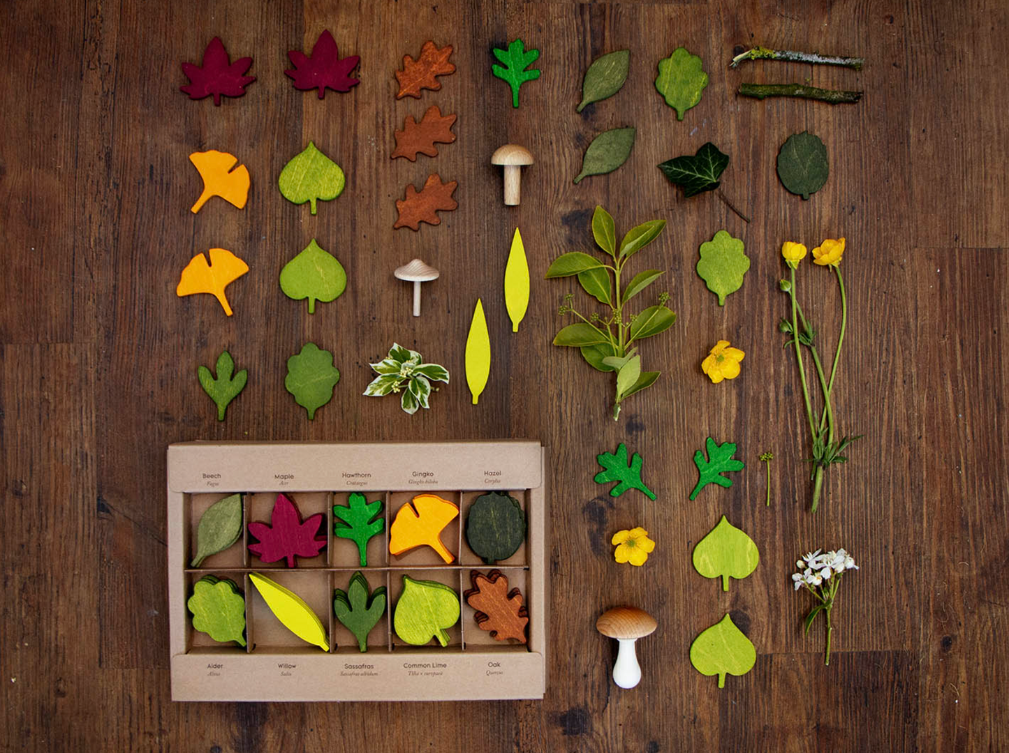 Woodland Leaves