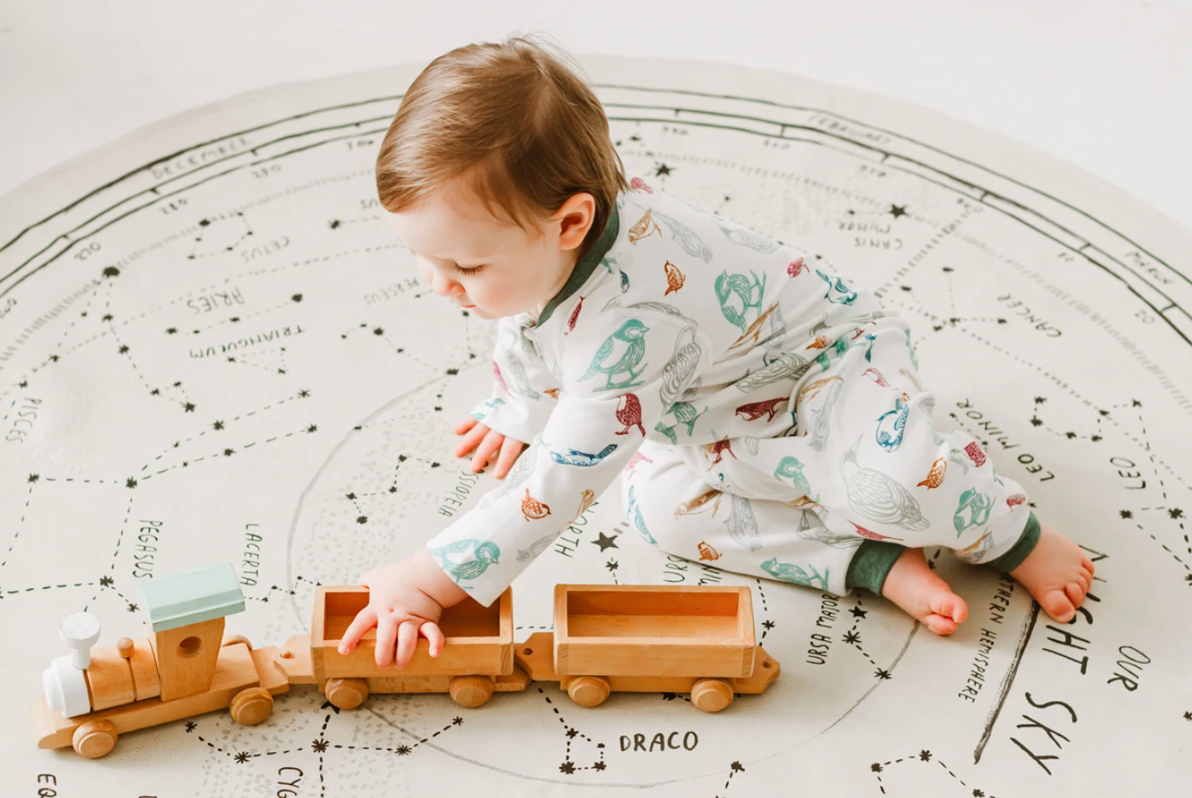 Organic Cotton Long Sleeve Romper - Birder's Paradise