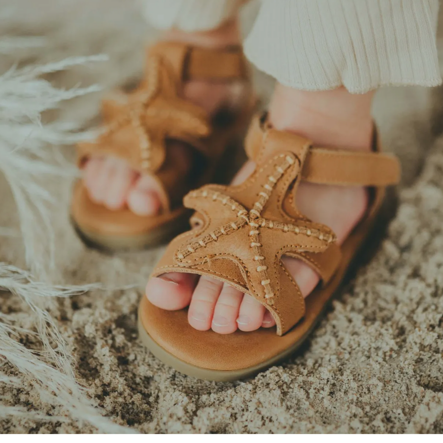 Donsje Lee Sea Starfish