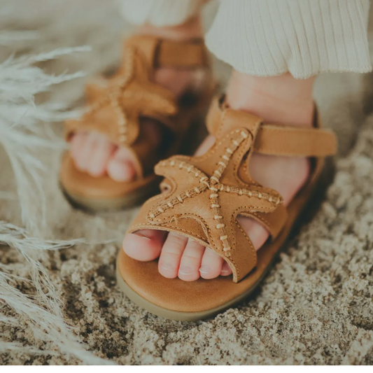 Donsje Lee Sea Starfish