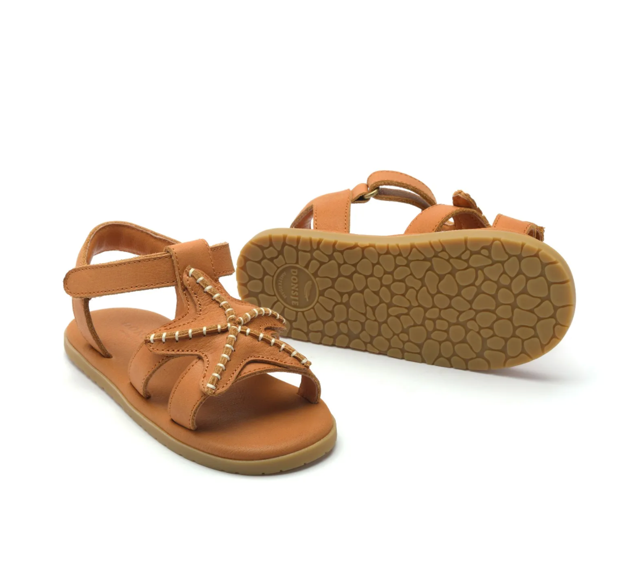 Donsje Lee Sea Starfish