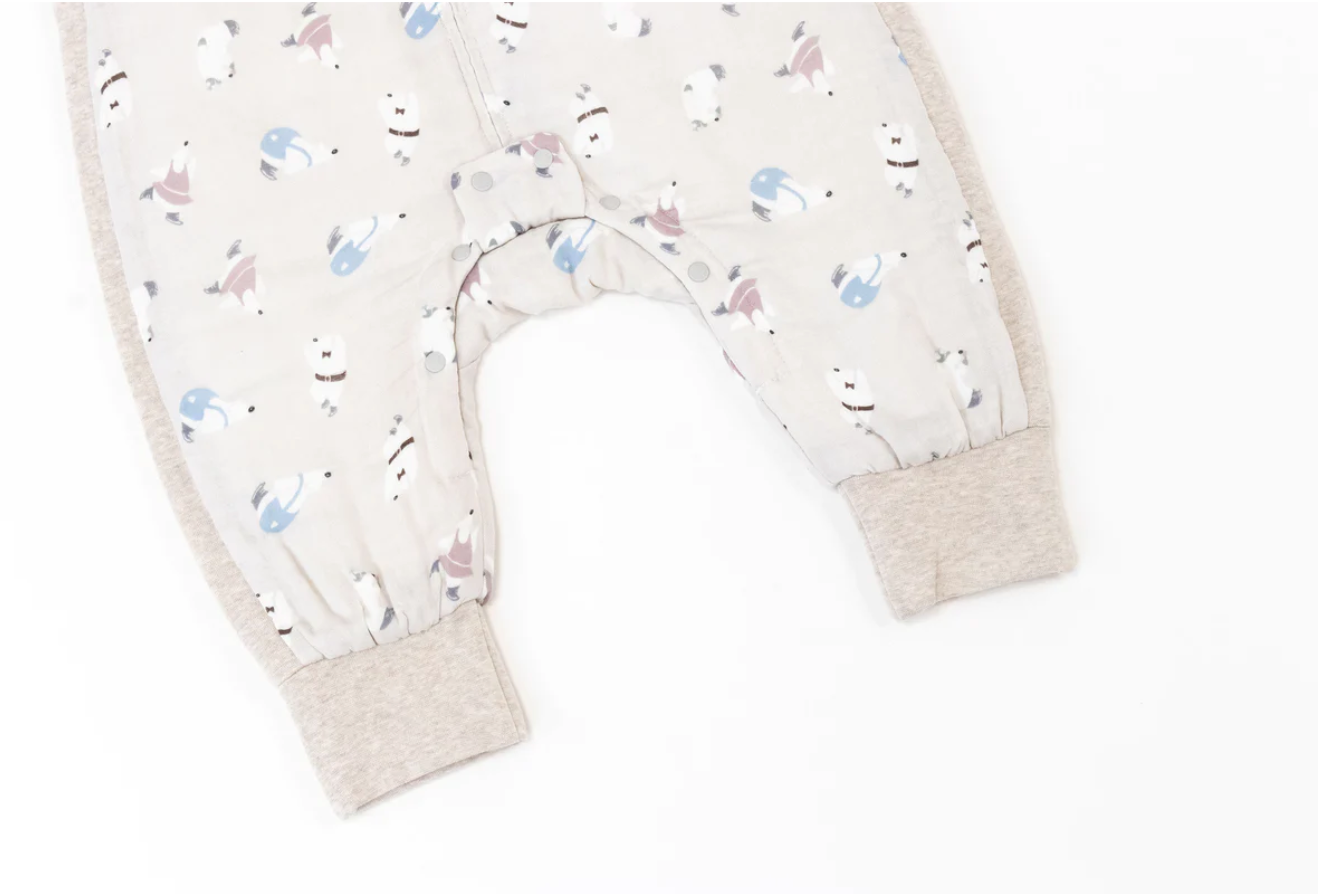 Raglan Bamboo Long Sleeve Footed Sleep Bag 2.5 TOG - Winter Skate