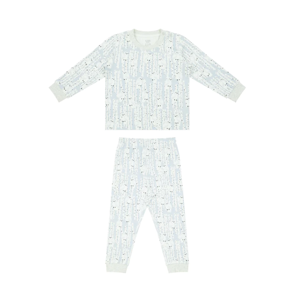 Organic Cotton Two-Piece Long Sleeve PJ Set - Hide N Hoot