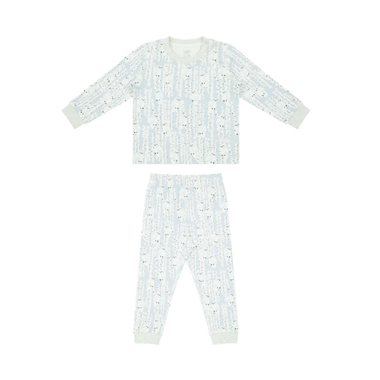 Organic Cotton Two-Piece Long Sleeve PJ Set - Hide N Hoot