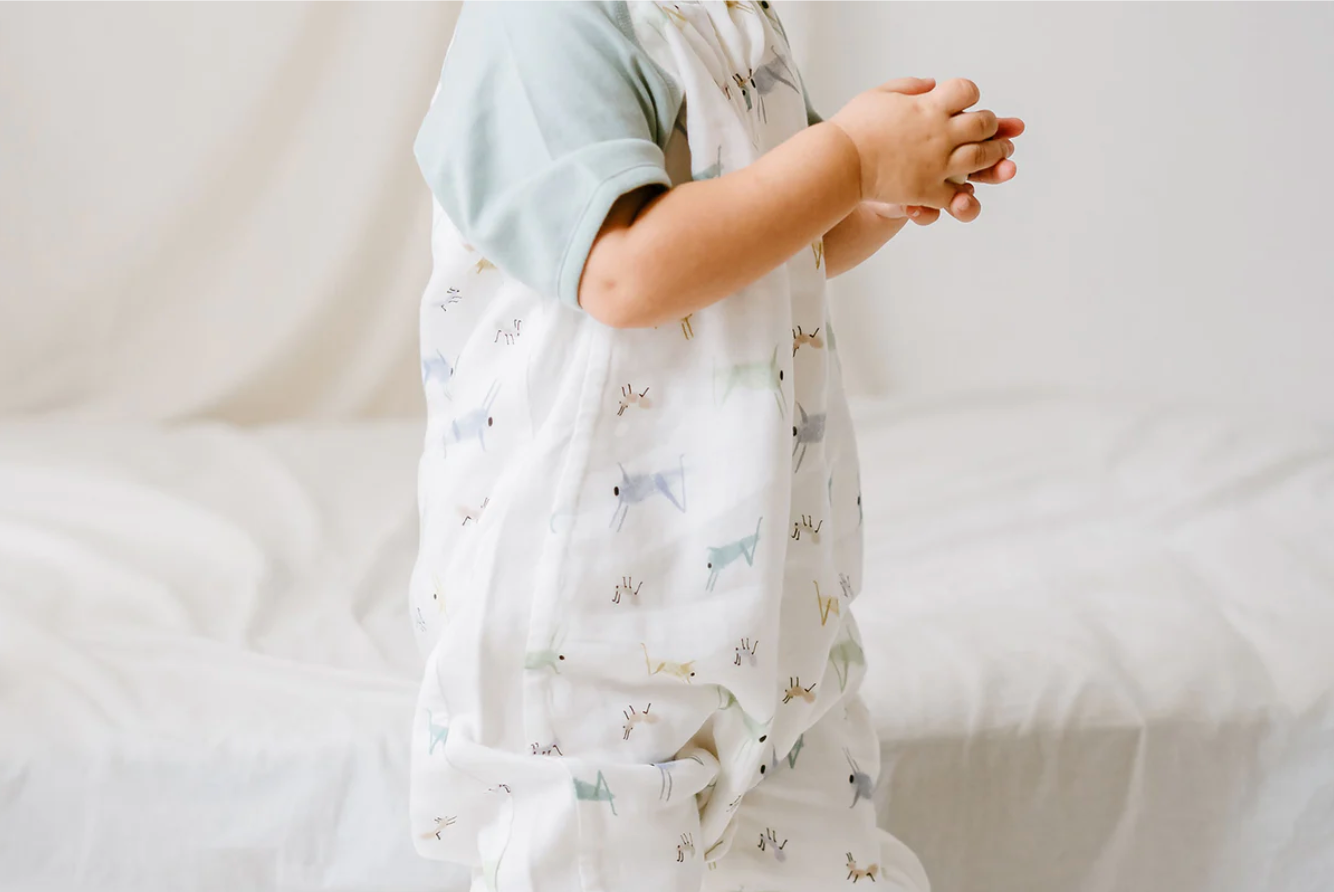 Raglan Bamboo Pima Short Sleeve Footed Sleep Bag 0.6 TOG -The Ant & The Grasshopper