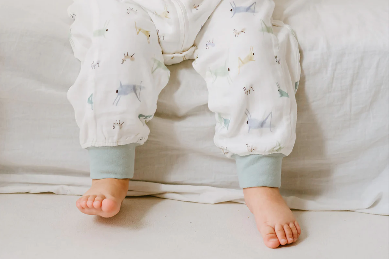 Raglan Bamboo Pima Short Sleeve Footed Sleep Bag 0.6 TOG -The Ant & The Grasshopper
