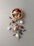 A Dozen Bird Eggs in a Basket
