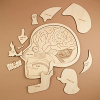 Use Your Head Wooden Puzzle