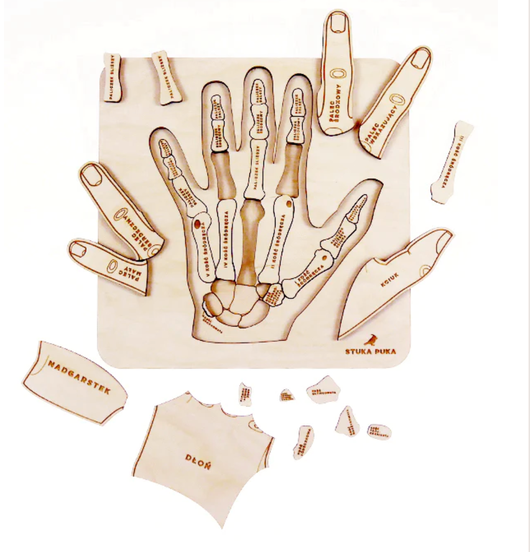 High Five! Hand Anatomy Wooden Puzzle