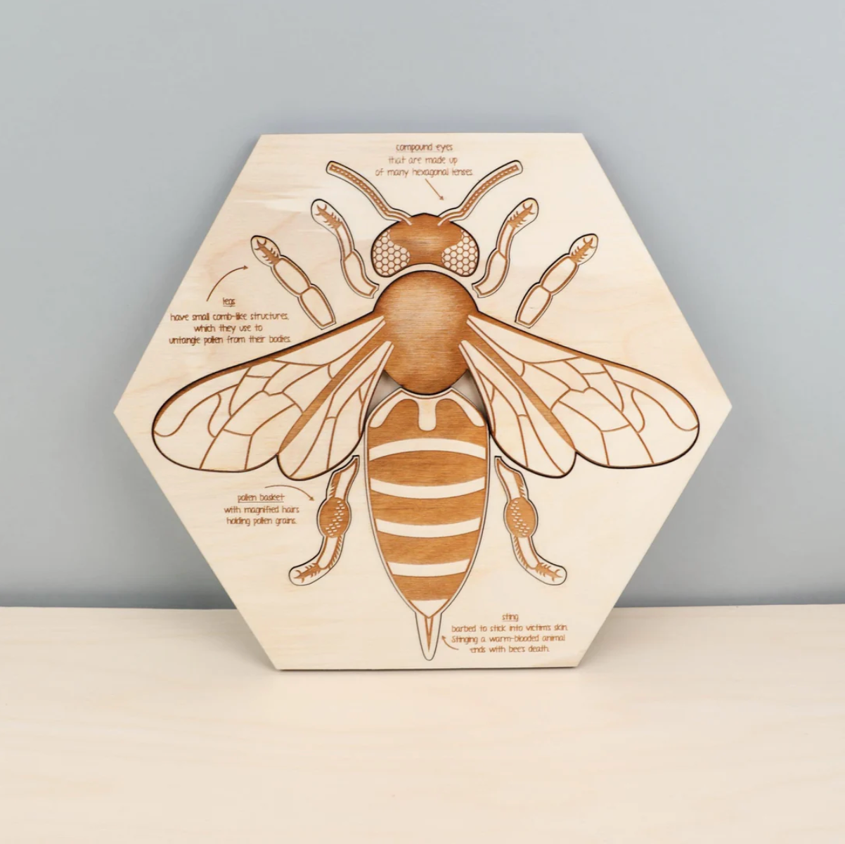 Bee Anatomy Wooden Puzzle