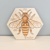 Bee Anatomy Wooden Puzzle