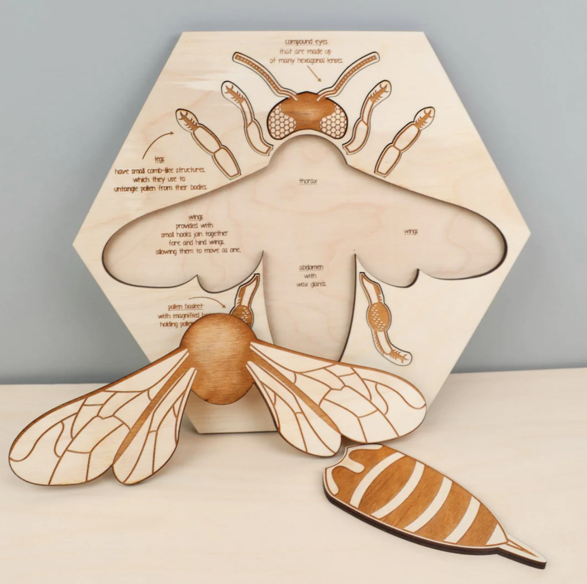 Bee Anatomy Wooden Puzzle