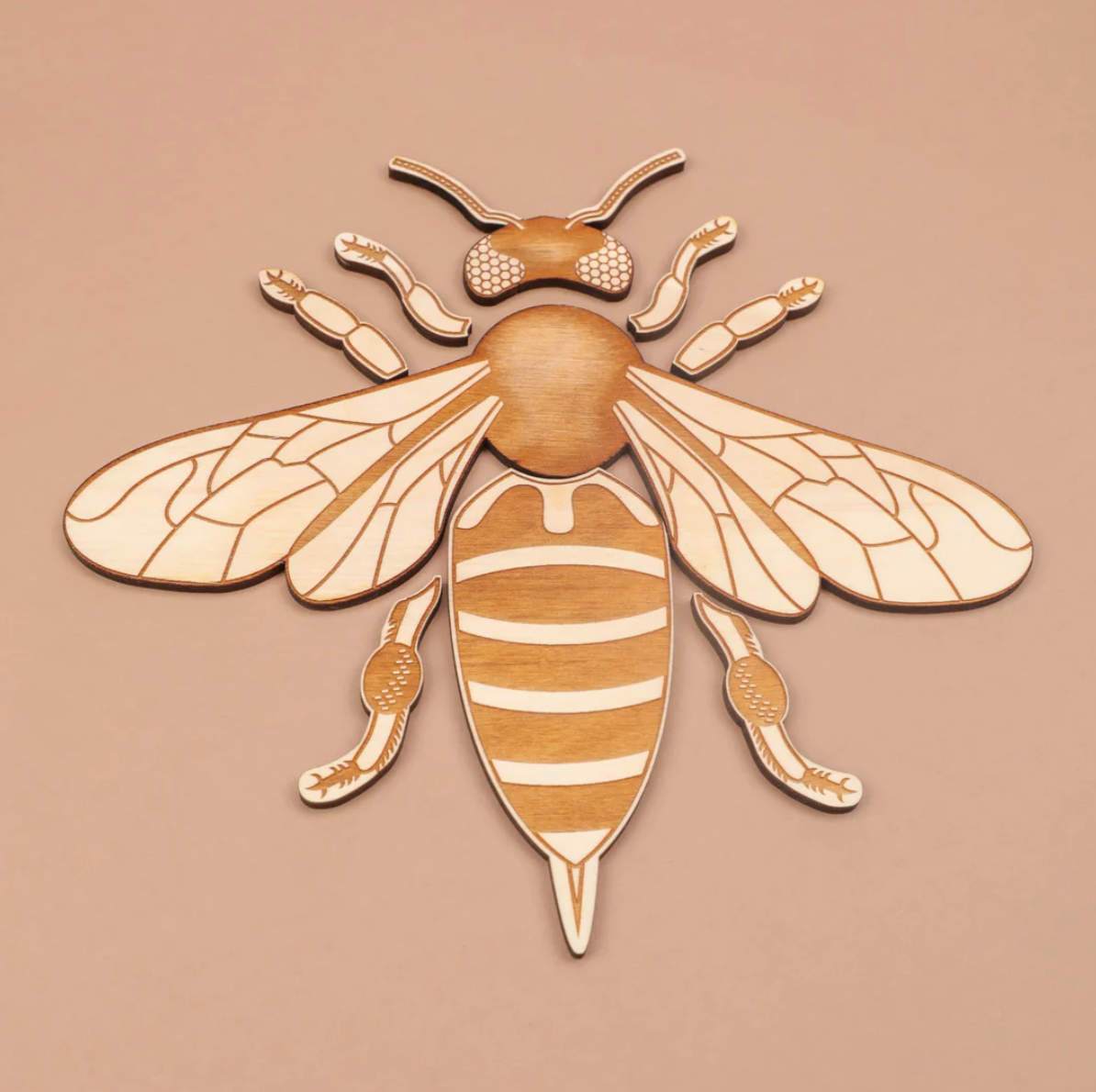 Bee Anatomy Wooden Puzzle