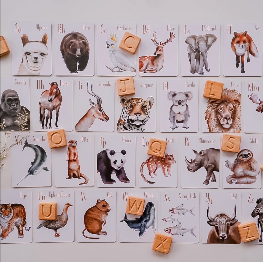 ANIMAL ALPHABET FLASH CARDS