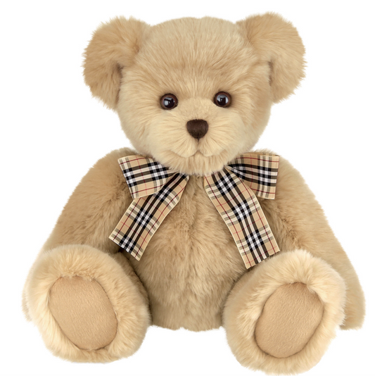 Hudson The Teddy Bear