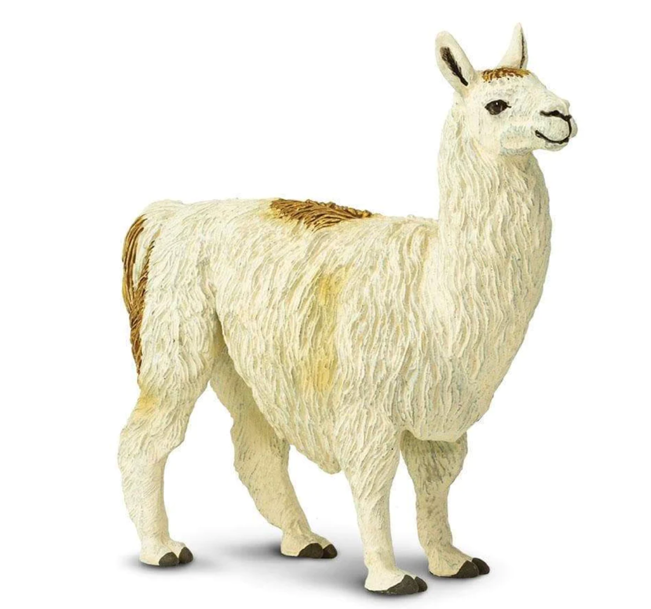 Llama - 227429