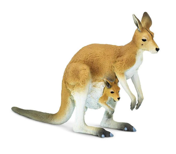 Kangaroo With Joey - 100108