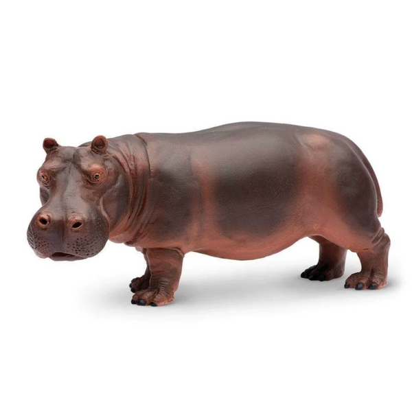 Hippopotamus - 270429