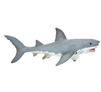 Great White Shark - 275029