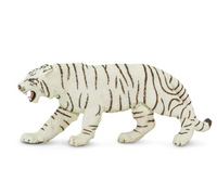 White Bengal Tiger - 273129