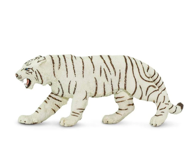 White Bengal Tiger - 273129