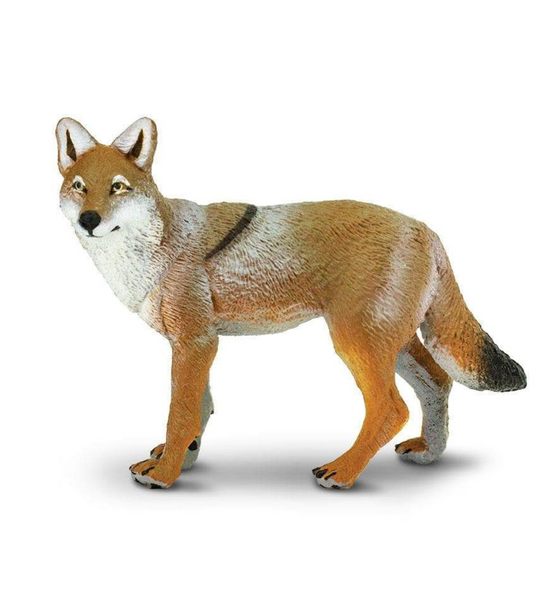 Coyote Toy-227229