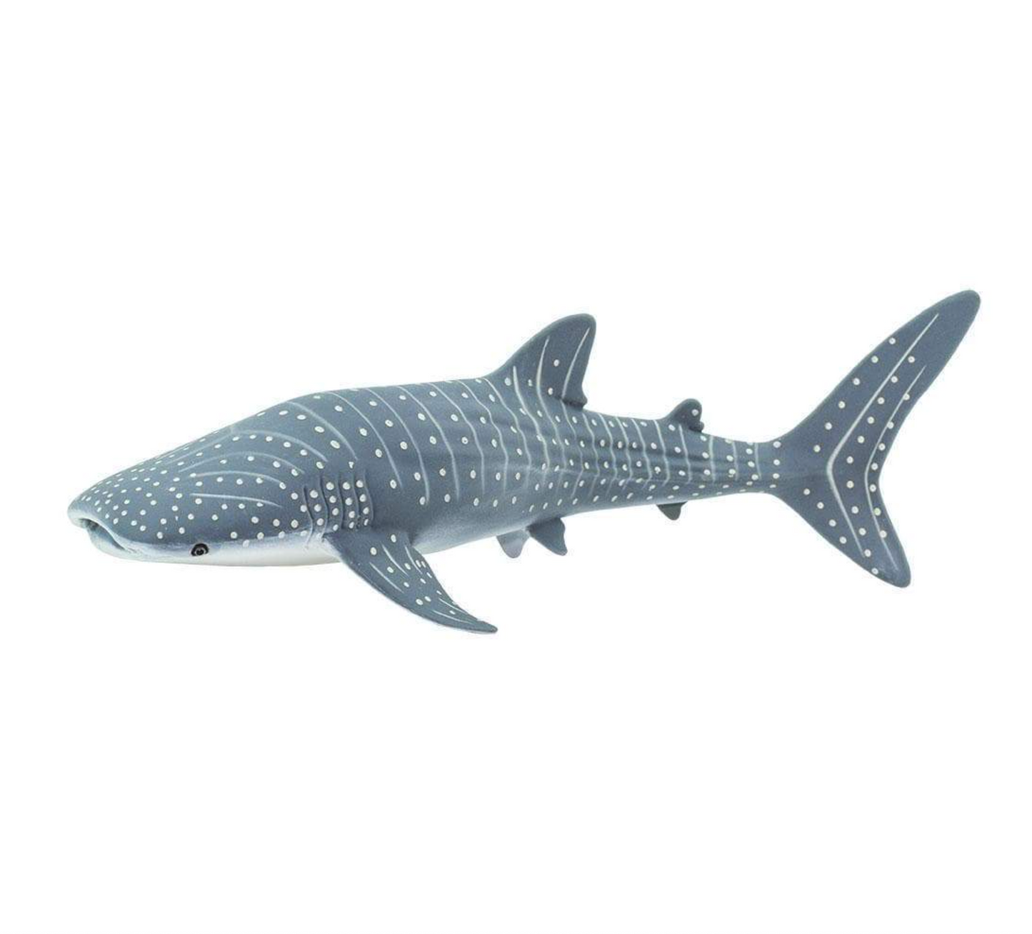 Whale shark-422129