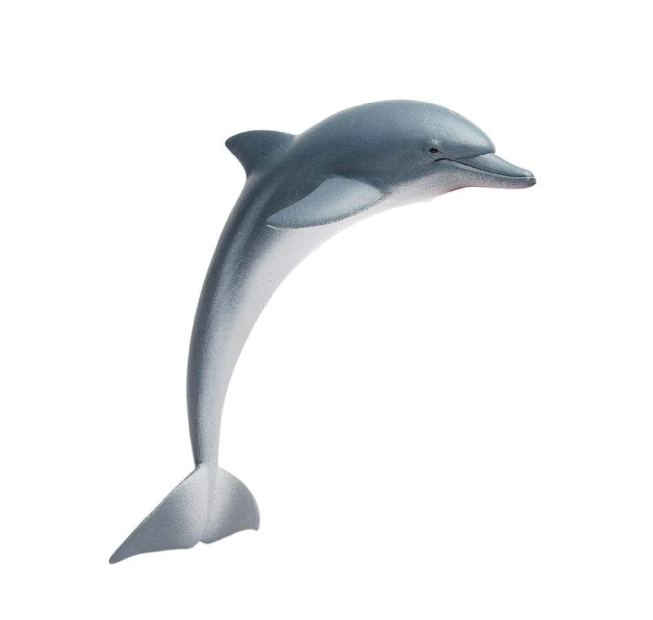 Dolphin - 200129