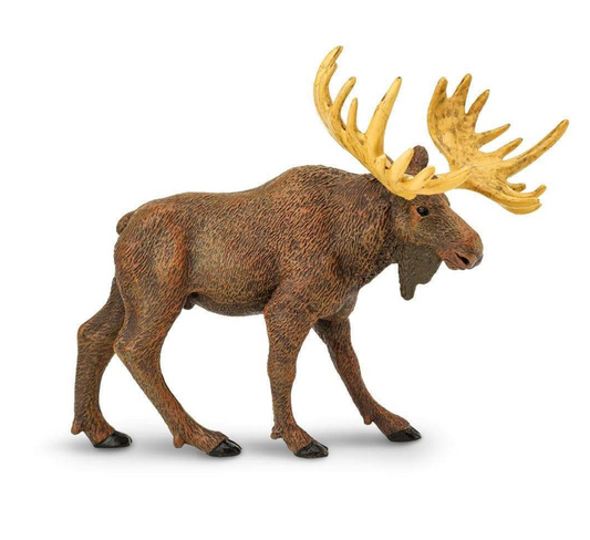Moose - 290029