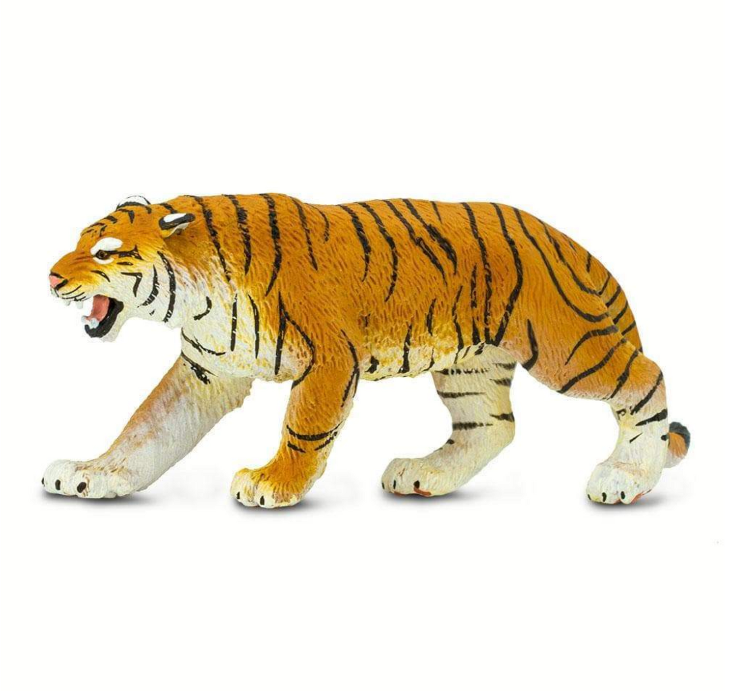 Bengal Tiger - 270829