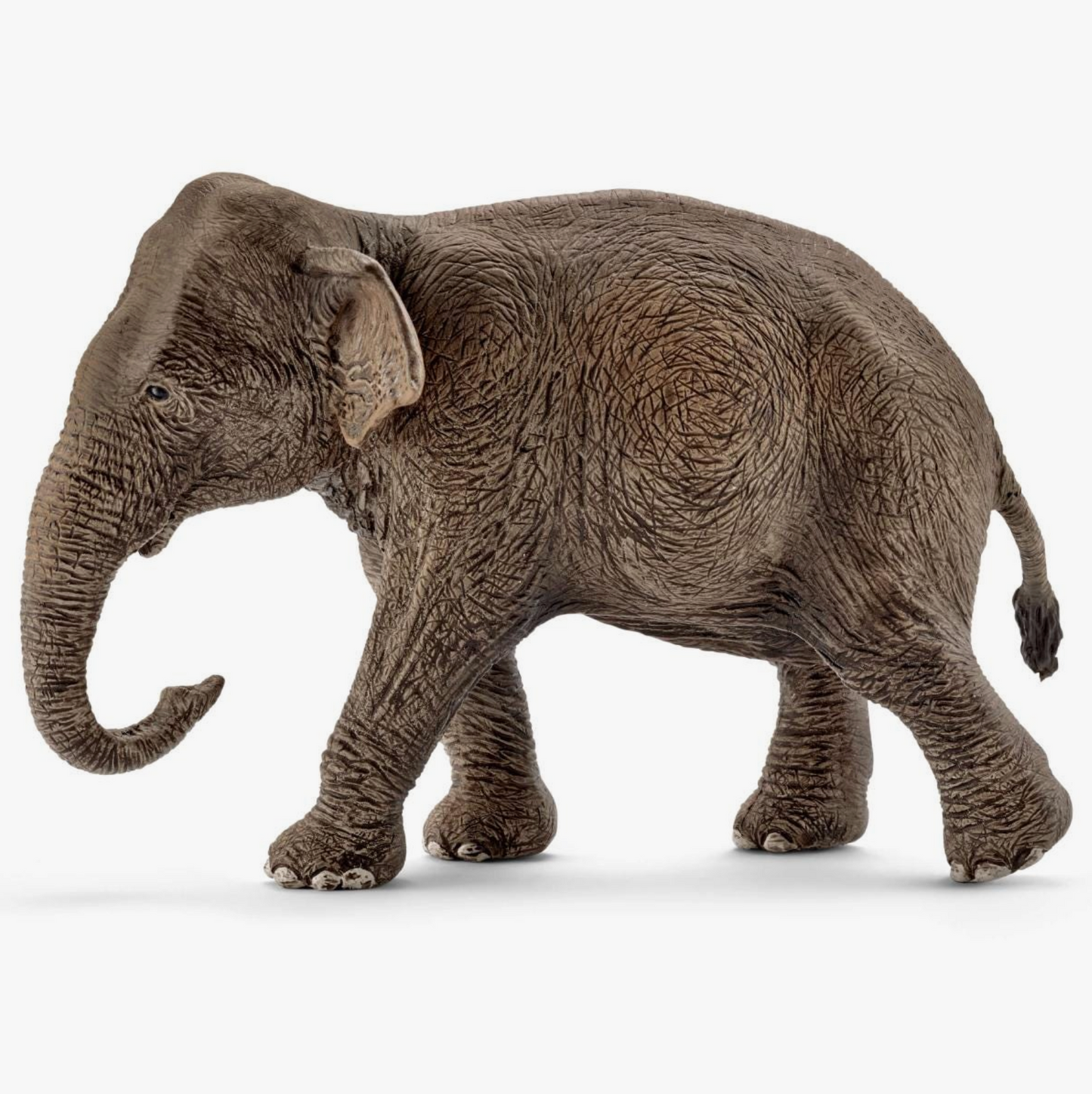 Asian Elephant, Female Safari Animal Toy