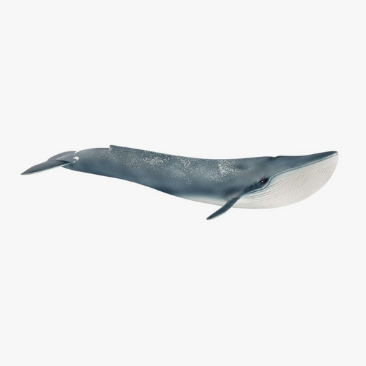 Blue Whale Ocean Animal Toy
