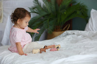 Plan Toys Farm Animal set