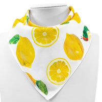 Bamboo Baby Bandana Bib - Eric Carle Lemon Squeezy