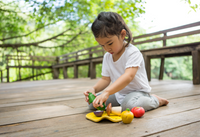 Plan Toys Assorted Vegetables Set - Preorder