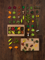 Woodland Leaves